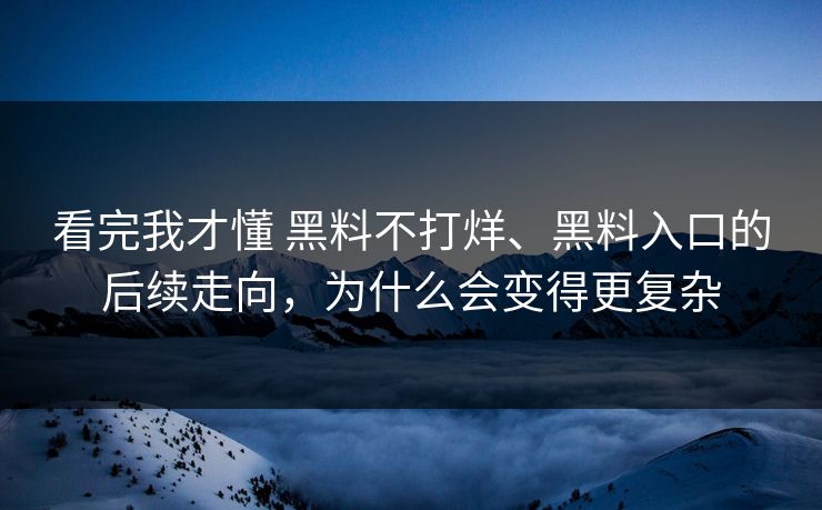 看完我才懂 黑料不打烊、黑料入口的后续走向，为什么会变得更复杂
