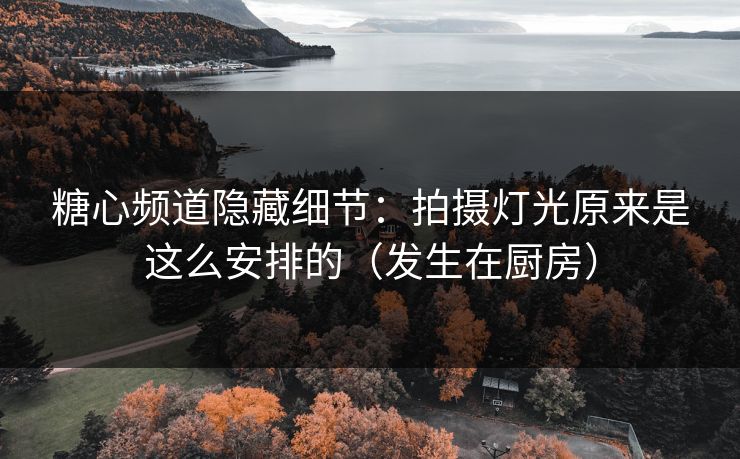 糖心频道隐藏细节：拍摄灯光原来是这么安排的（发生在厨房）