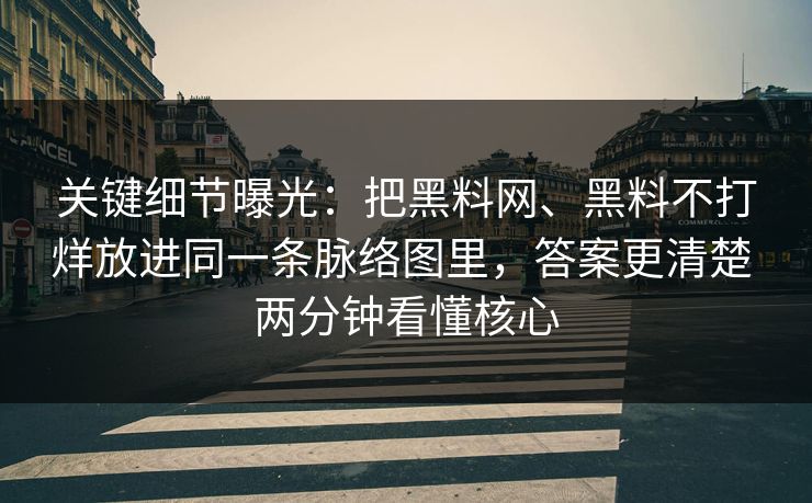 关键细节曝光：把黑料网、黑料不打烊放进同一条脉络图里，答案更清楚 两分钟看懂核心
