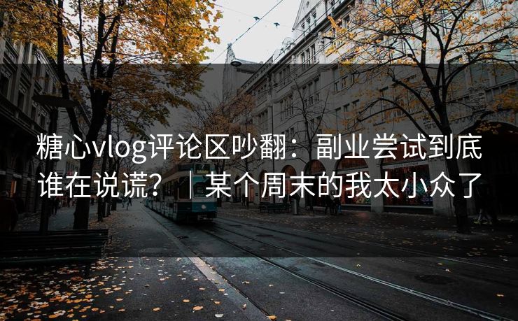 糖心vlog评论区吵翻：副业尝试到底谁在说谎？｜某个周末的我太小众了