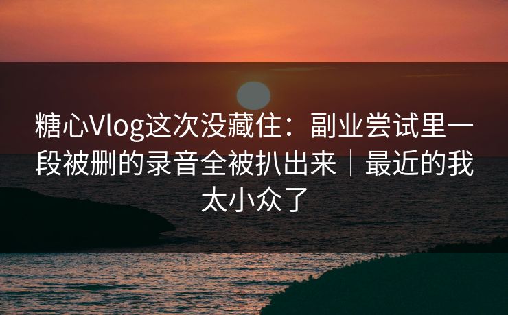 糖心Vlog这次没藏住：副业尝试里一段被删的录音全被扒出来｜最近的我太小众了