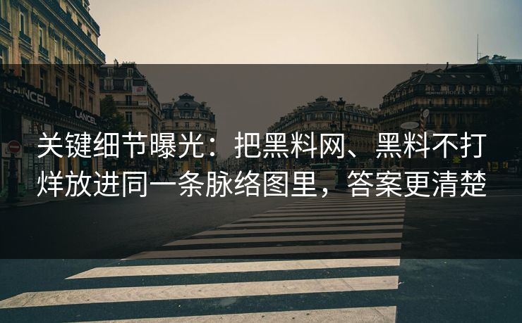 关键细节曝光：把黑料网、黑料不打烊放进同一条脉络图里，答案更清楚