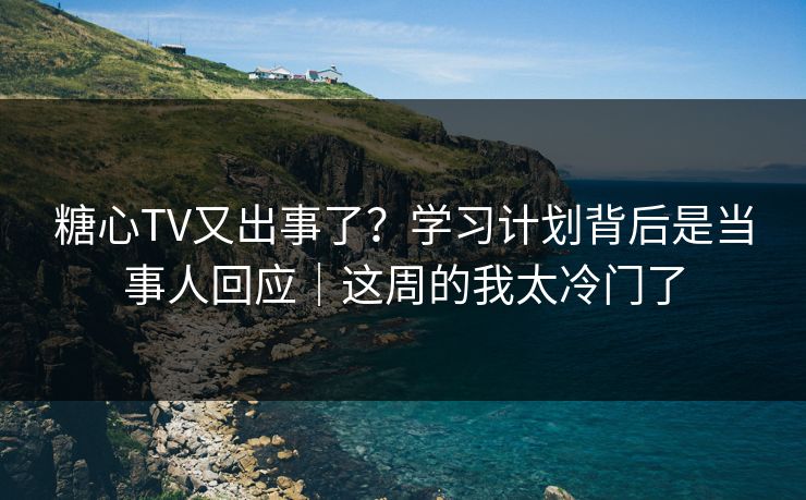 糖心TV又出事了？学习计划背后是当事人回应｜这周的我太冷门了
