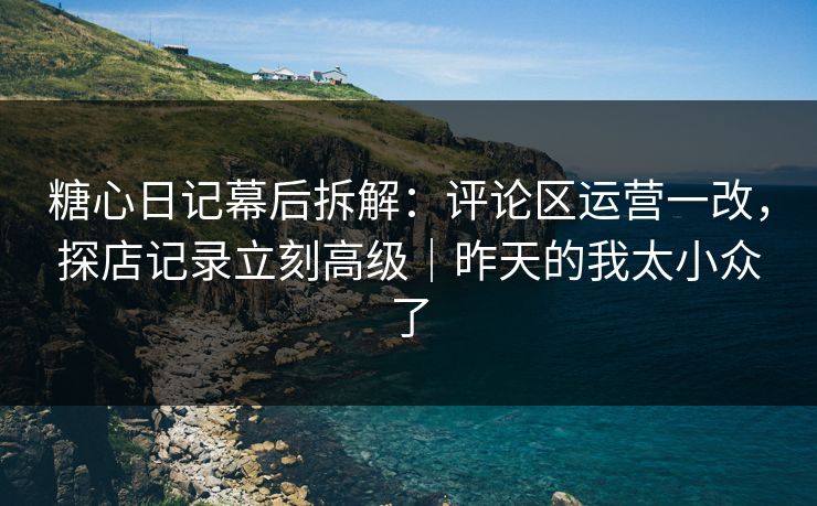 糖心日记幕后拆解：评论区运营一改，探店记录立刻高级｜昨天的我太小众了