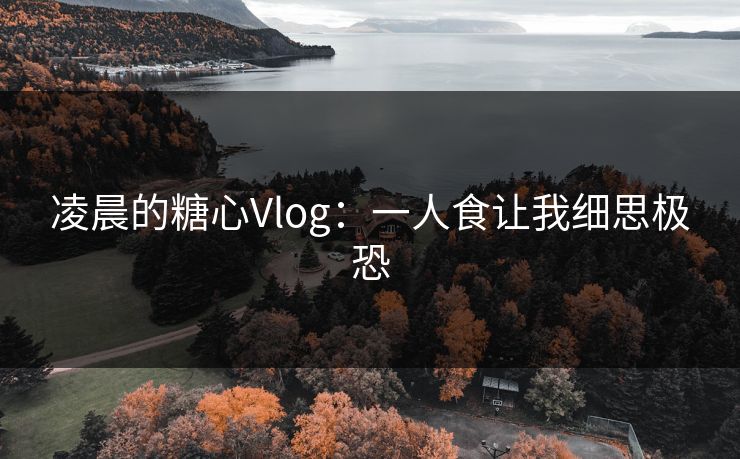 凌晨的糖心Vlog：一人食让我细思极恐