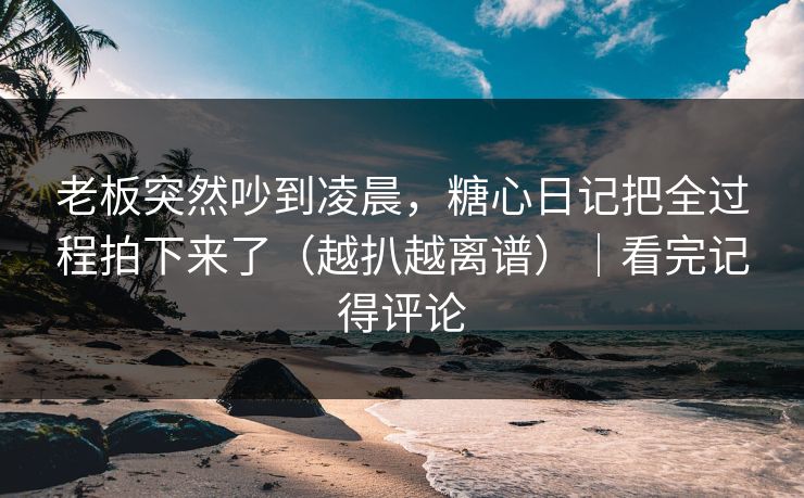 老板突然吵到凌晨，糖心日记把全过程拍下来了（越扒越离谱）｜看完记得评论