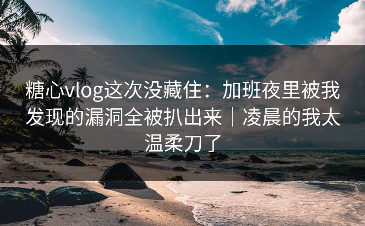 糖心vlog这次没藏住:加班夜里被我发现的漏洞全被扒出来|凌晨的我太温柔刀了 糖心vlog这次没藏住:加班夜里被我发现的漏洞全被扒出来|凌晨的我太温柔刀了