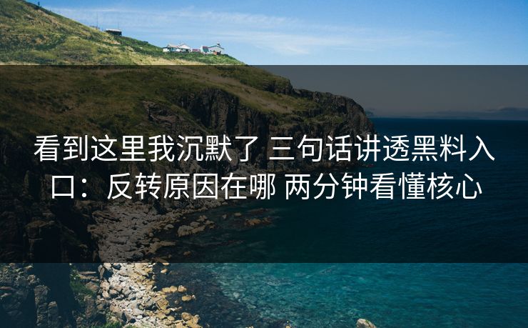 看到这里我沉默了 三句话讲透黑料入口：反转原因在哪 两分钟看懂核心