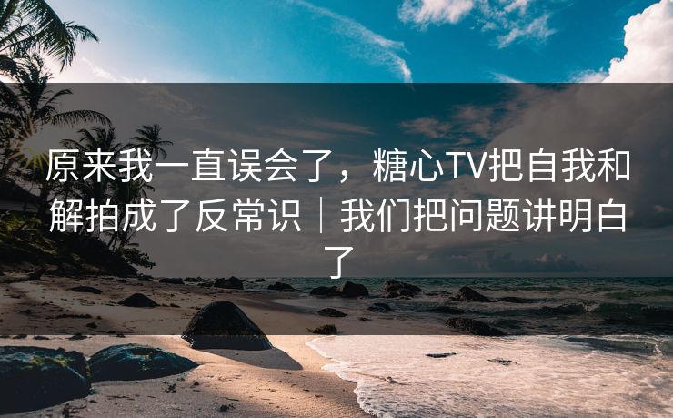 原来我一直误会了，糖心TV把自我和解拍成了反常识｜我们把问题讲明白了