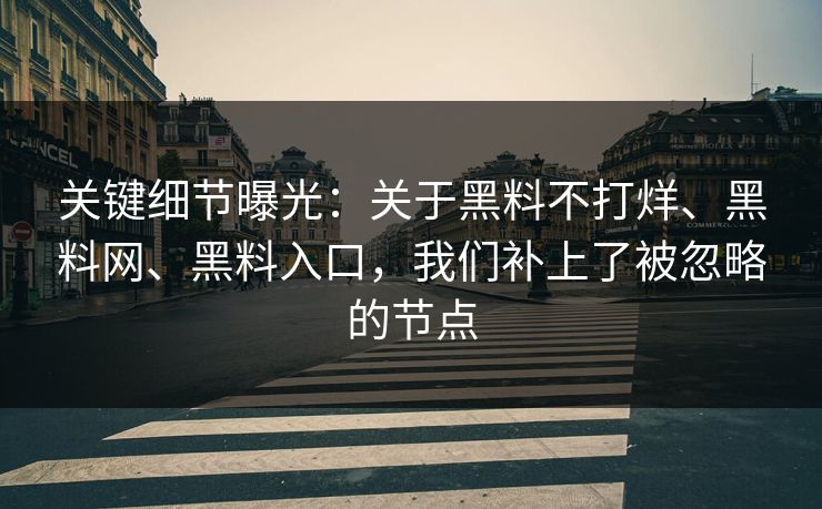 关键细节曝光：关于黑料不打烊、黑料网、黑料入口，我们补上了被忽略的节点