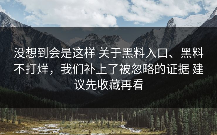 没想到会是这样 关于黑料入口、黑料不打烊，我们补上了被忽略的证据 建议先收藏再看